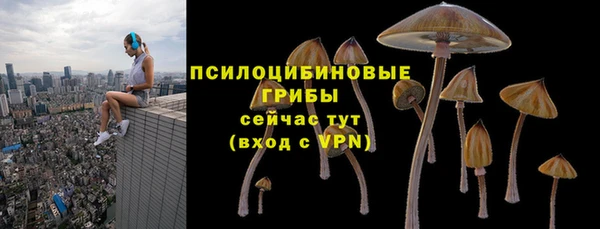 сатива Киренск