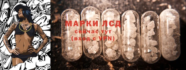 PSILOCYBIN Козловка