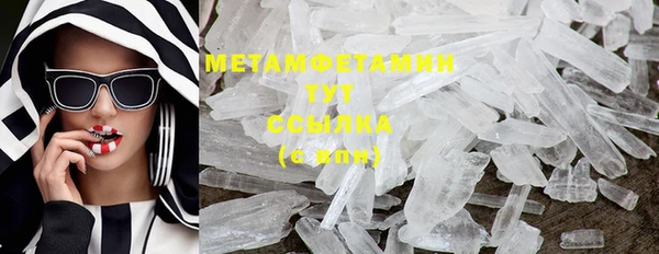 PSILOCYBIN Козловка
